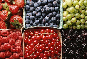Вы знаете, какие продукты содержат воду? Вы знаете, какие продукты содержат воду?